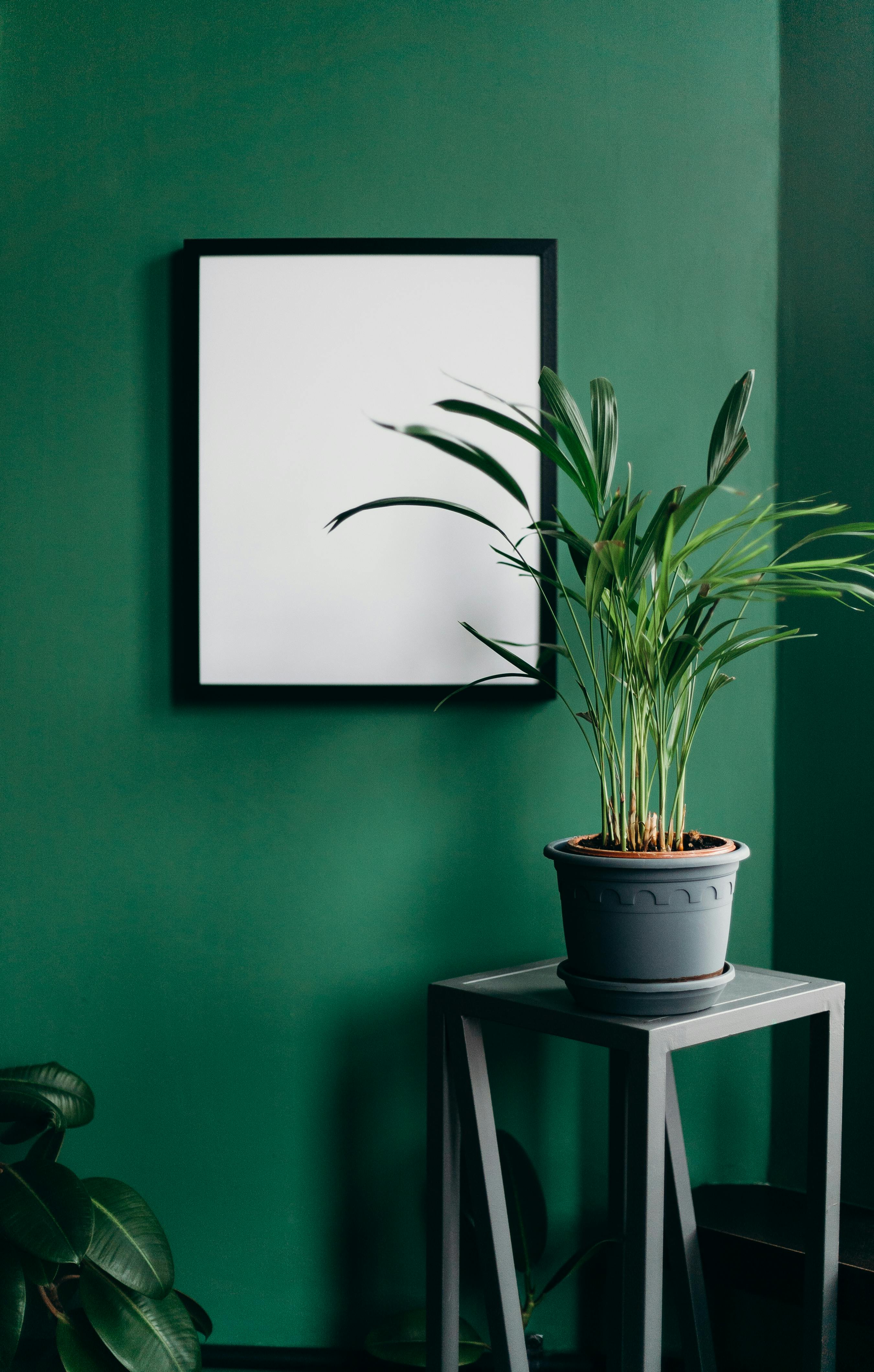 Verdant Vibe